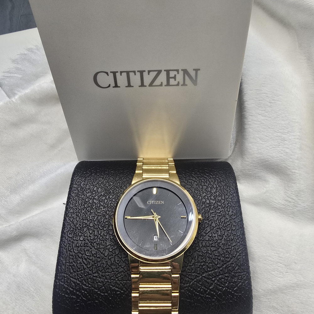 Citizen Gold and Black Men's Watch
